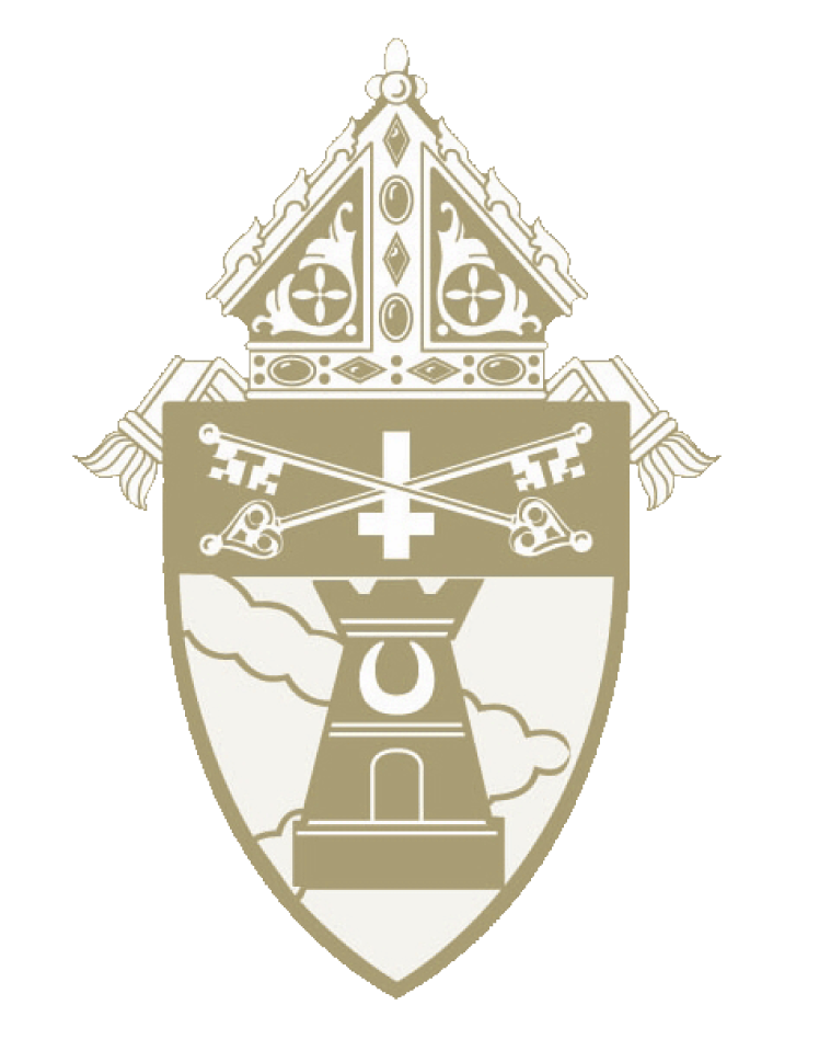 Catholic Schools – Archdiocese of 