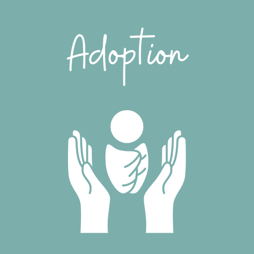Find Support_adoption