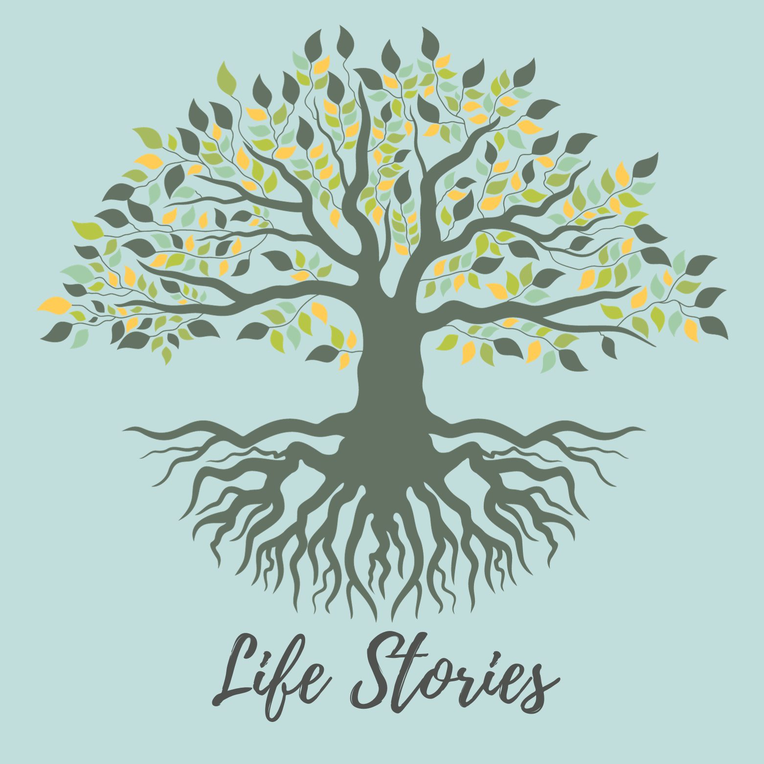Youth Resources_life stories