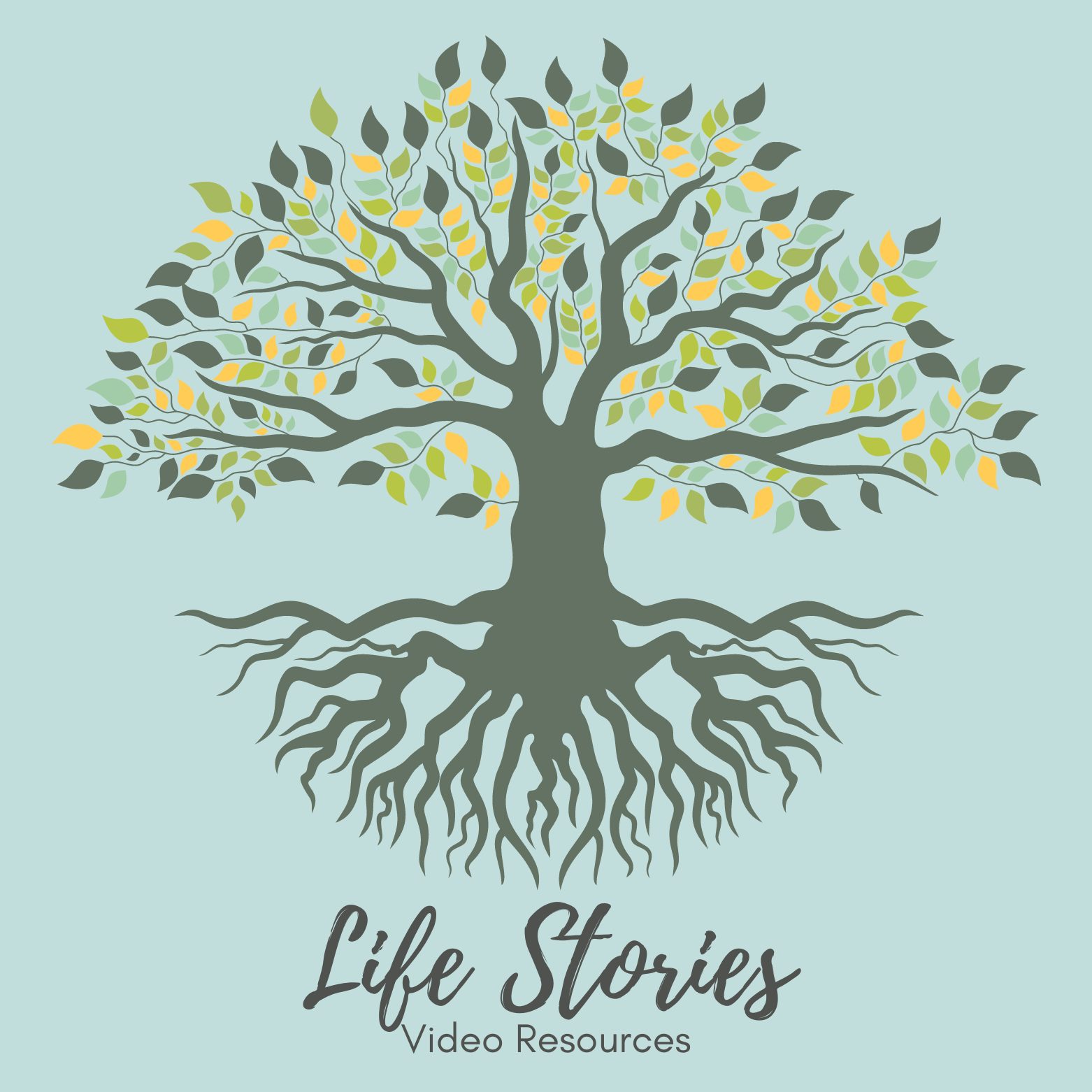 Youth Resources_life stories