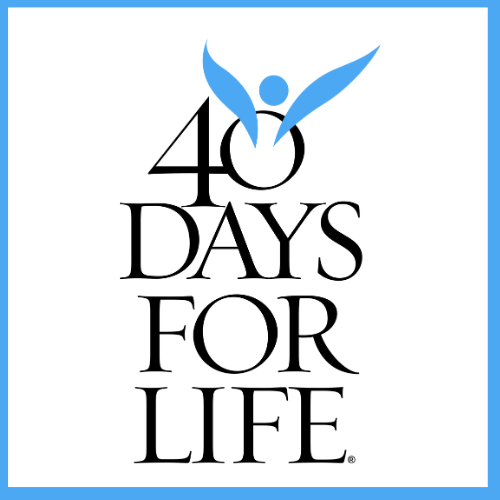 40 DFL_square logo