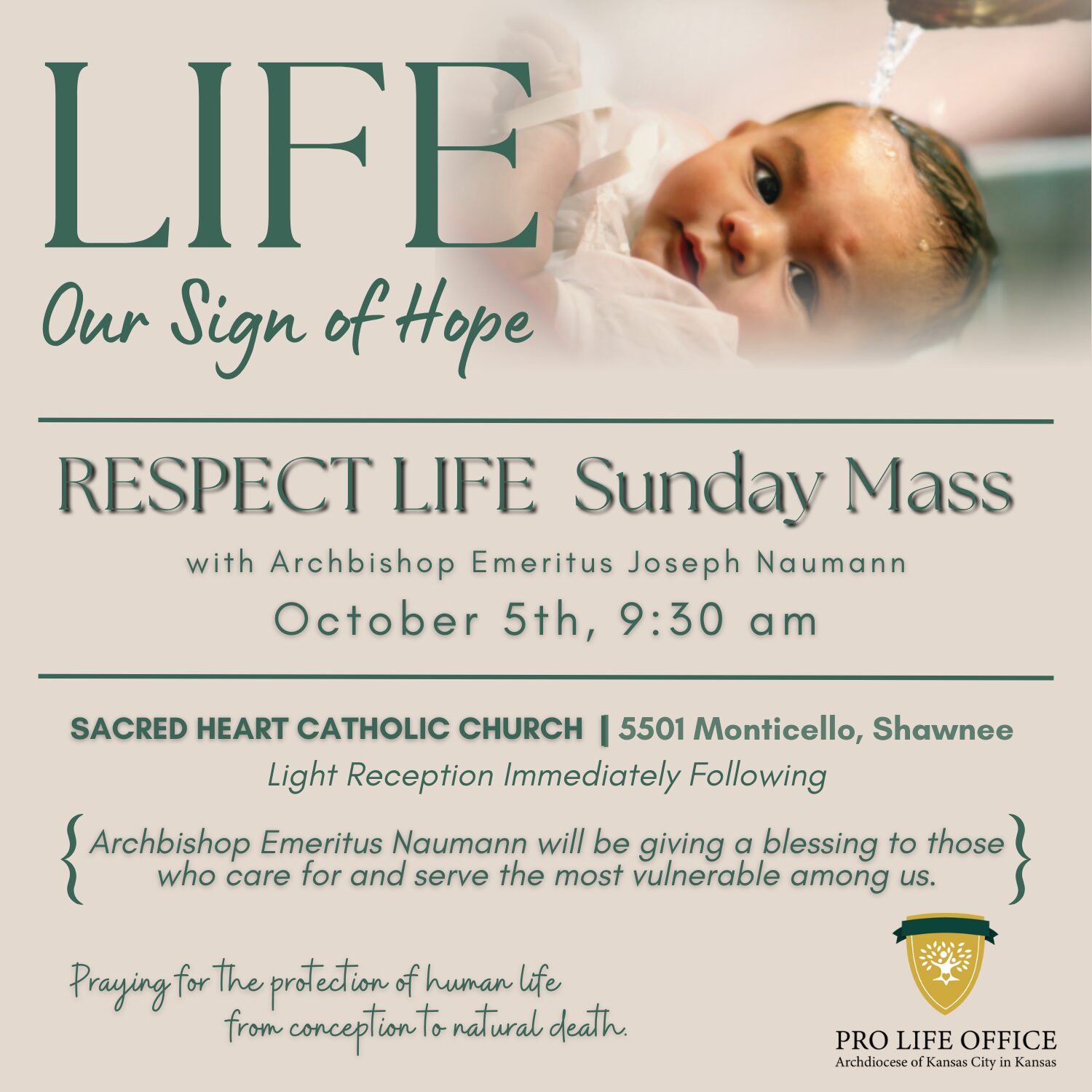 Respect Life Month Graphics - RLM Mass_Oct25 (square)