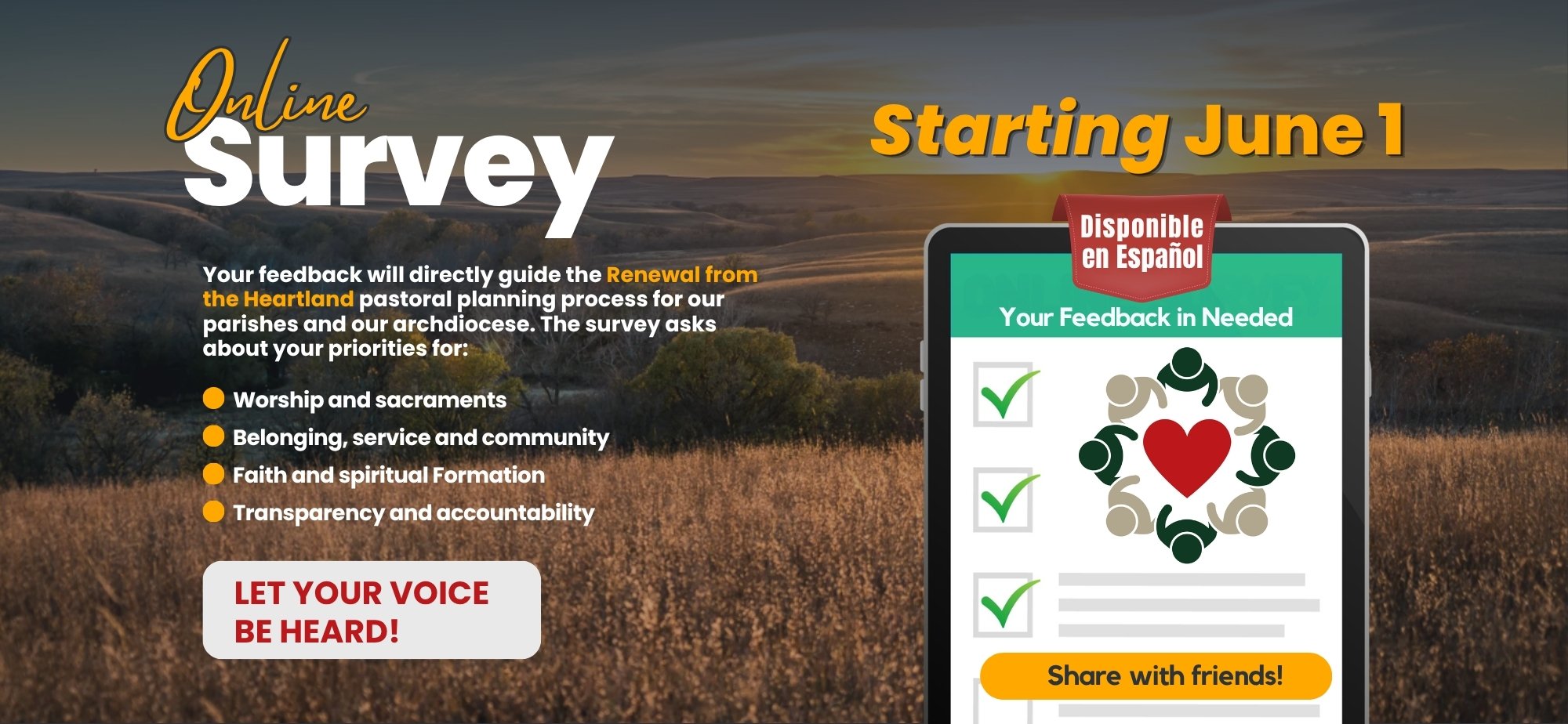Online Survey