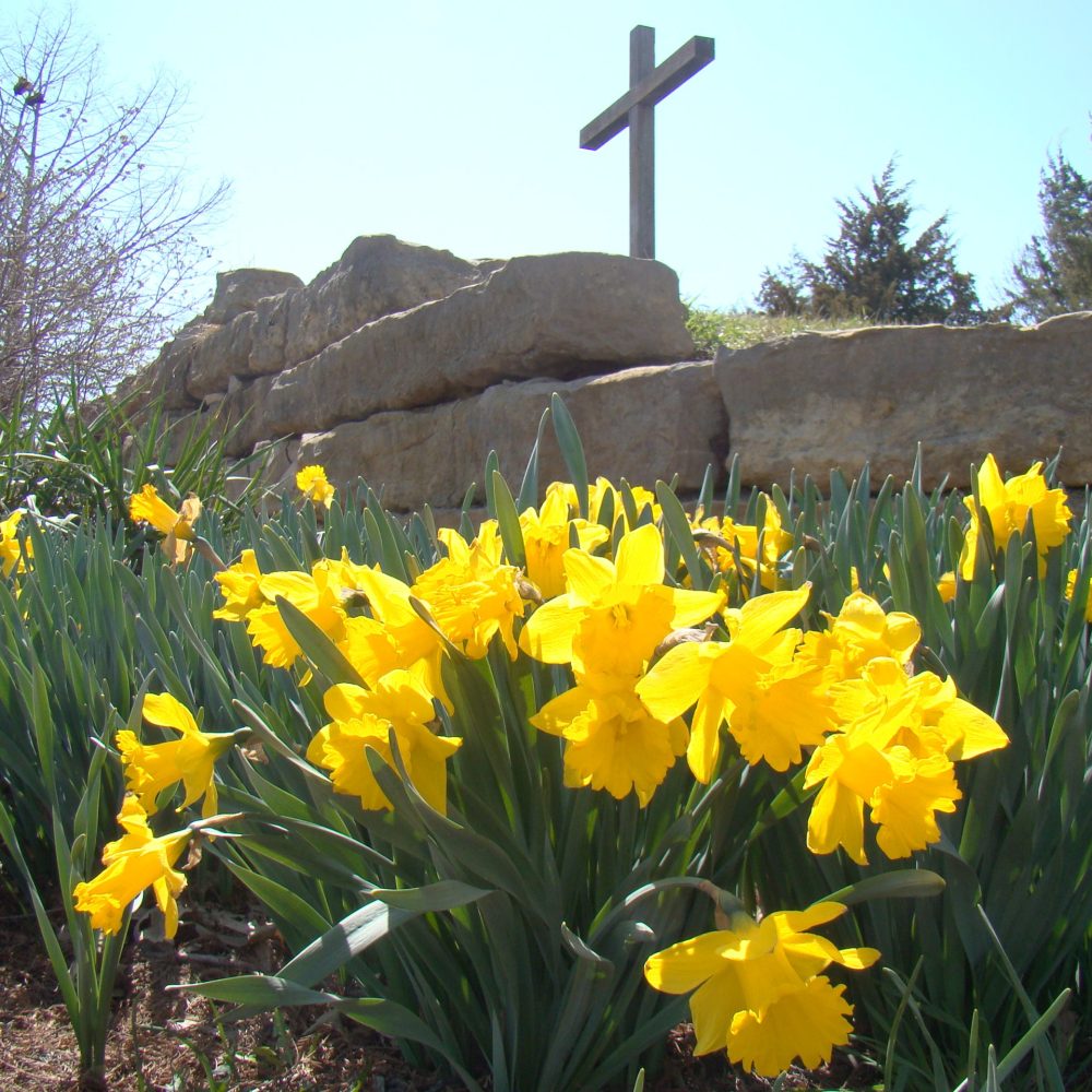 Cross and daffodils